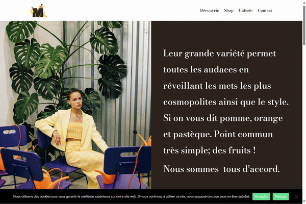 Le Multifruits Website